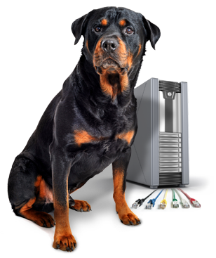 Hottweiler