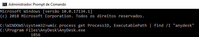 anydesk wmic